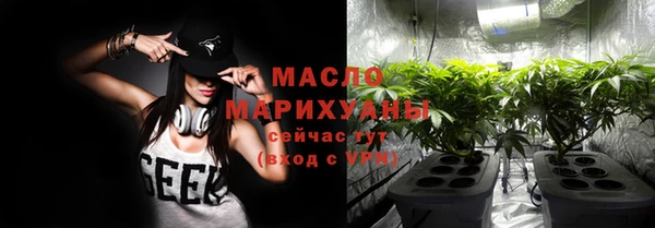 мдпв Богородск