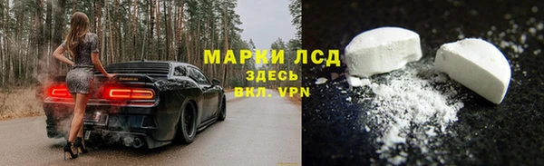 мдпв Богородск