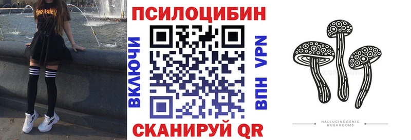 Псилоцибиновые грибы Psilocybe  Гудермес 