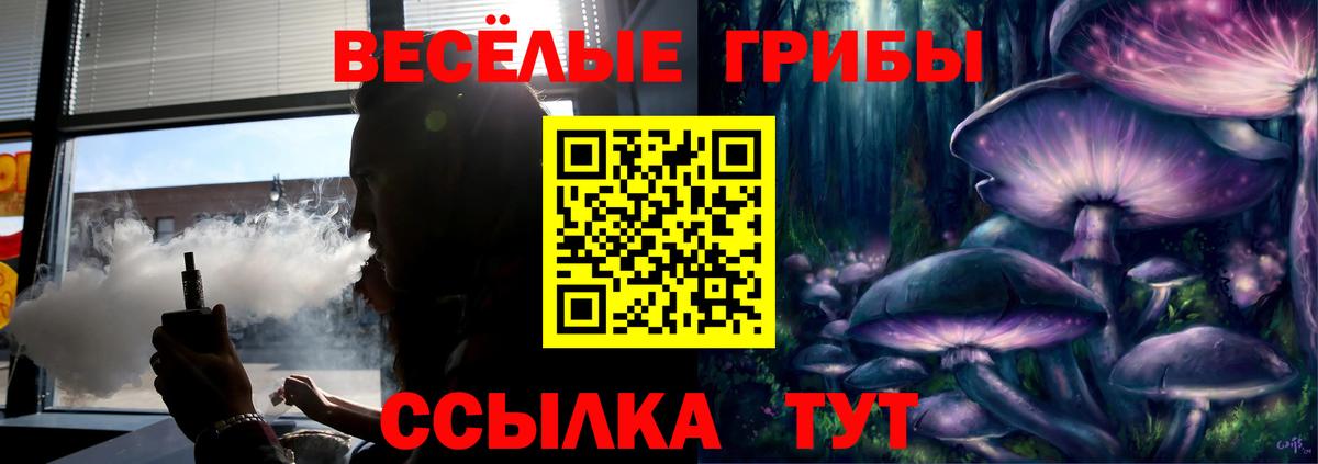 Псилоцибиновые грибы Cubensis Гудермес