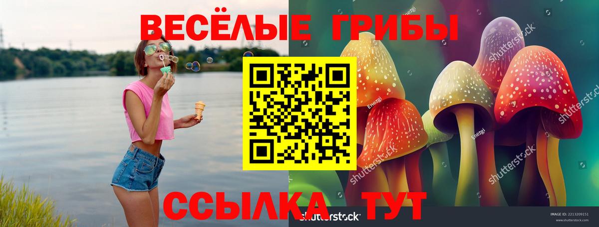 Псилоцибиновые грибы Psilocybine cubensis  Псилоцибиновые грибы ЛСД  Гудермес  Вход с VPN 